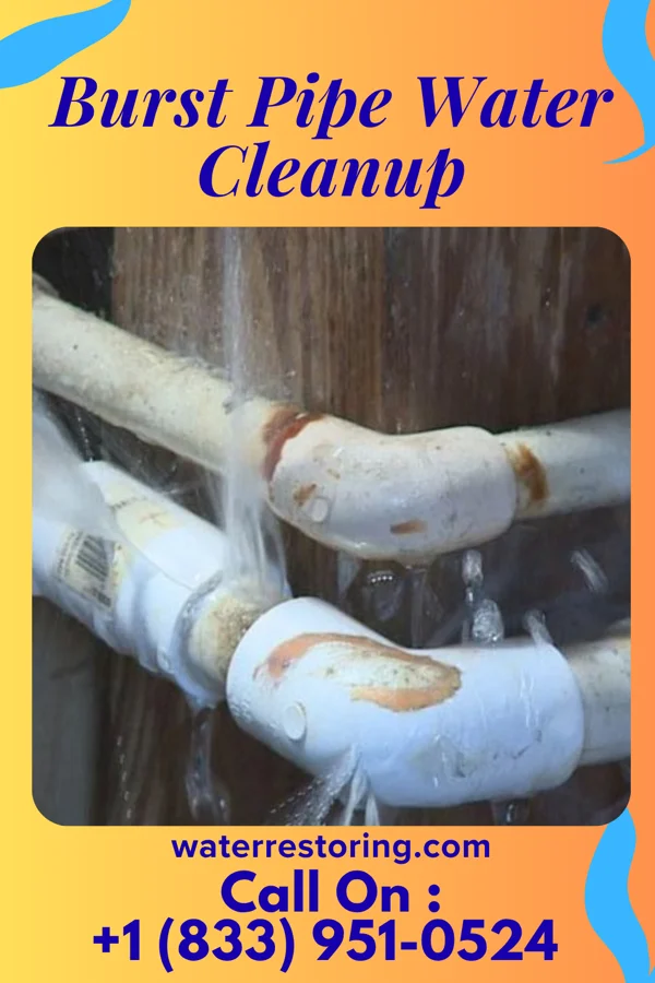 Burst Pipe Water Cleanup in Cambridge, MA
