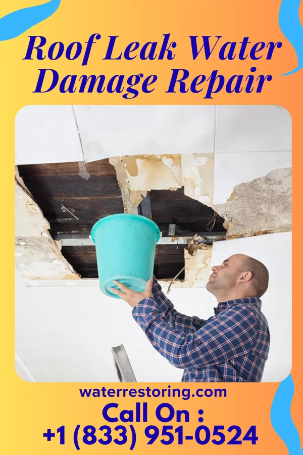 Roof Leak Water Damage Repair in Cambridge, MA