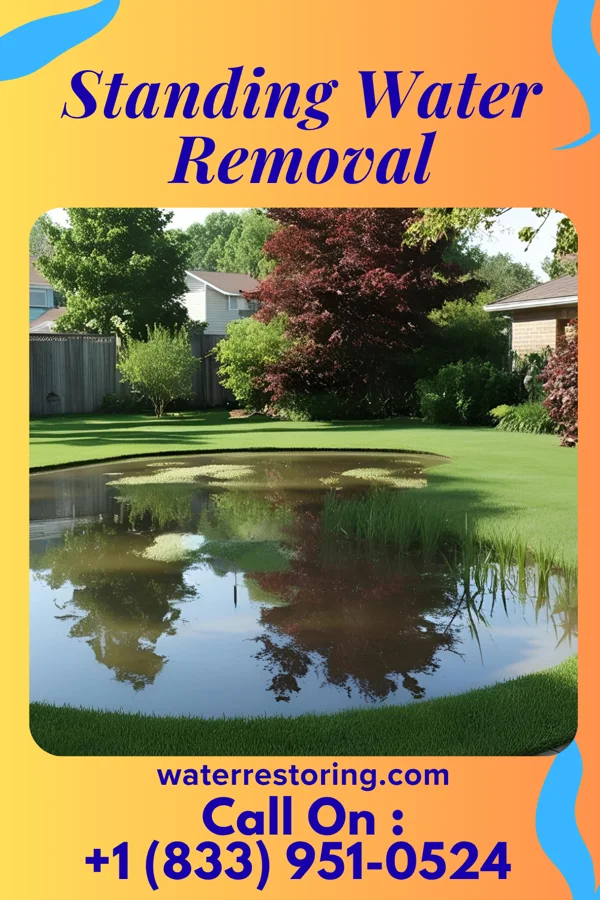 Standing Water Removal in Cambridge, MA
